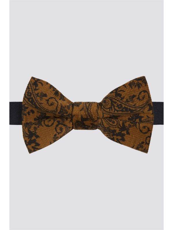 Limehaus Gold Baroque Paisley Bow Tie 0 Gold loving the sales