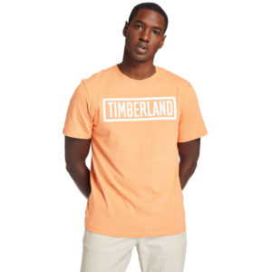 Timberland Mink Brook Logo T-Shirt For Men loving the sales