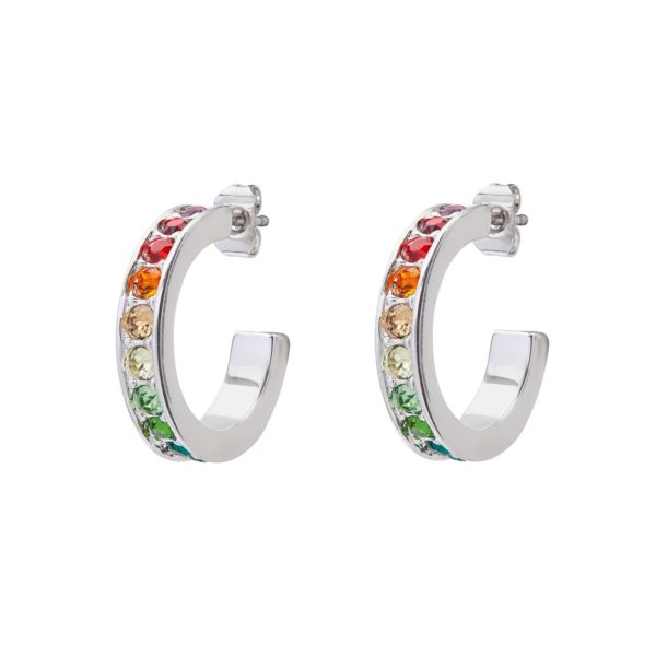 Ted Baker Reanna Silver Coloured Small Crystal Rainbow Hoop Earrings loving the sales